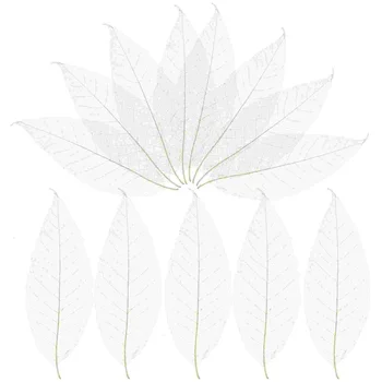 100 Ks Zápisník Listy Plavidlá Projektu Magnolia DIY Materiálov suchá Vzorka Prírodného