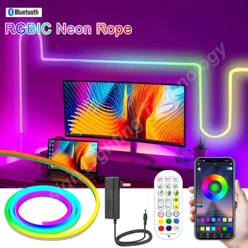 12V RGBIC LED, Neónové Svetlo, Pás WS2811 Multicolor Bluetooth Smart App Ovládanie RGB Flexibilné Pásky IP67 Vodotesný Led Pás Trubice