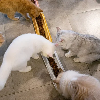 Mačka Misy Pet Vody, Potravín, krmiva Krmivo Misa s Sklonu Mačky Feeder Kŕmenie Misy Dlhé Mačacie Misky domáce zvieratá