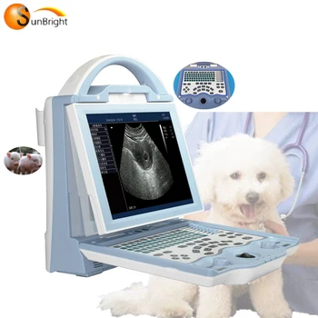 Veterinárne prenosné vysokej kvality ultrazvuk stroj skener pre veľké zviera tehotenský test